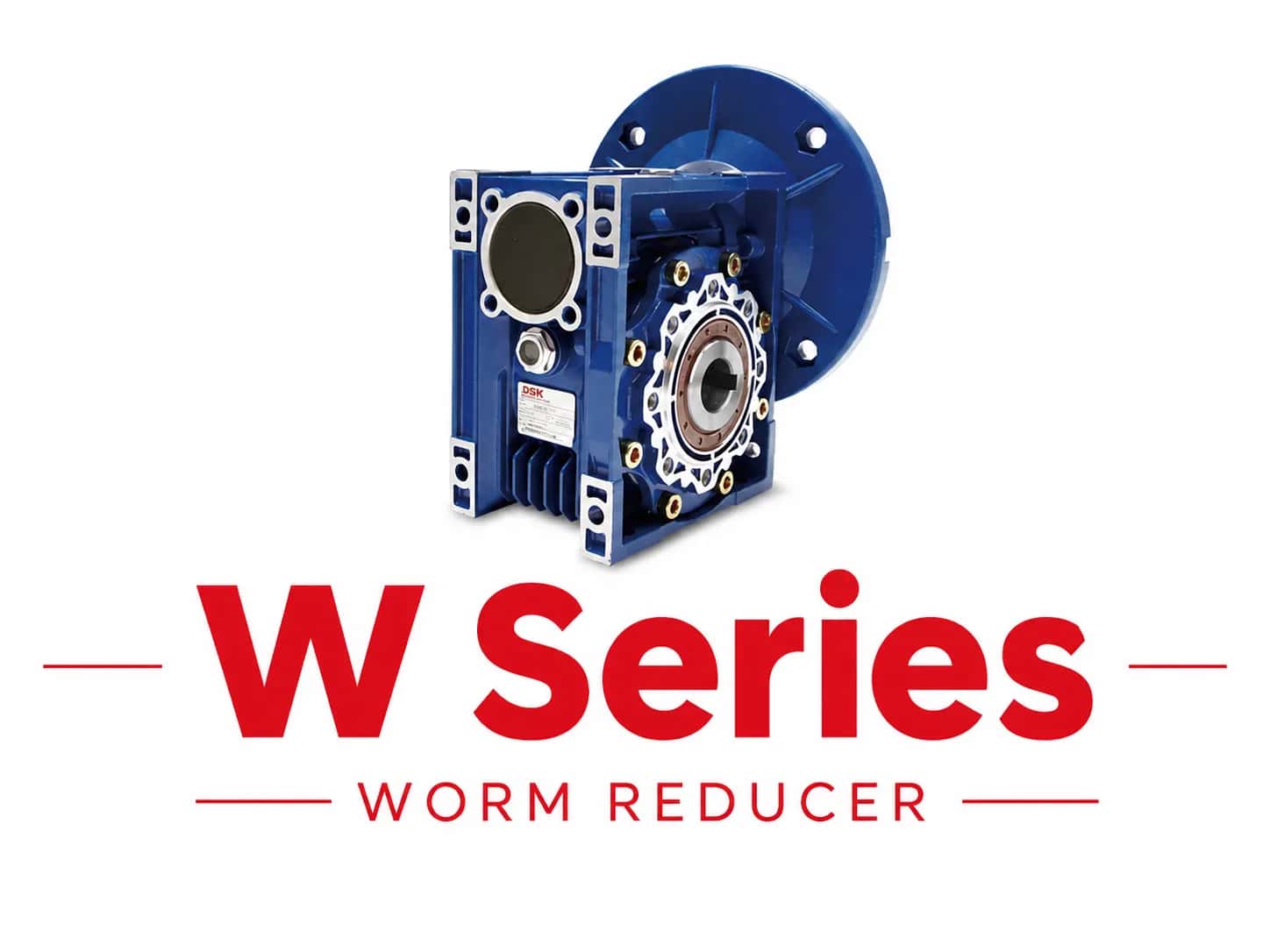 Hộp giảm tốc trục vít DSK W Series – Worm Reducer