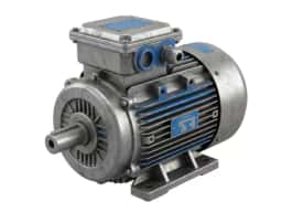 Explosion-Proof Motors