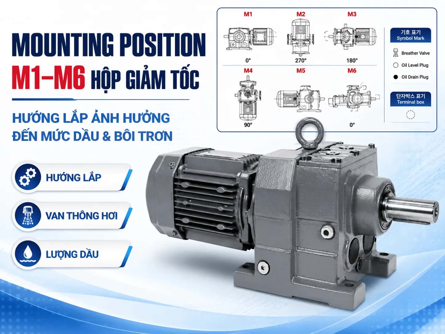 Mounting Position M1–M6 của motor giảm tốc có ý nghĩa gì?