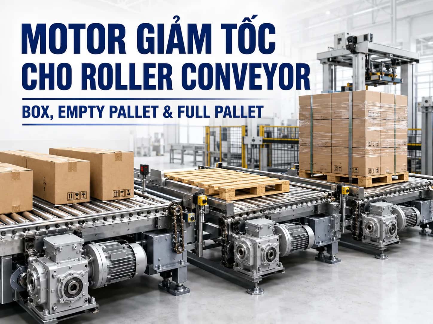 Motor giảm tốc cho Roller Conveyor Palletizer gồm Box, Empty Pallet và Full Pallet