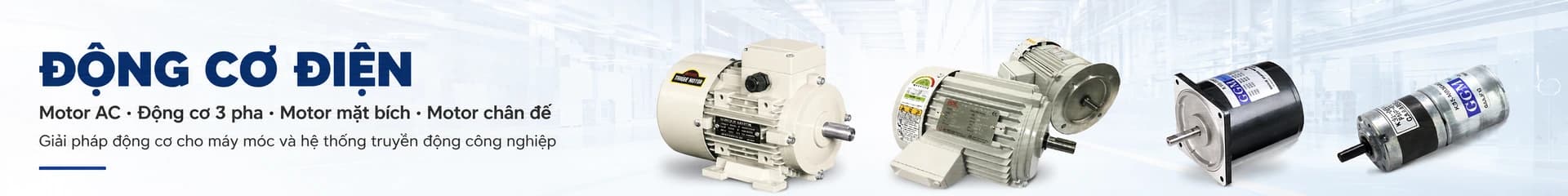 Động cơ điện công nghiệp gồm motor AC 3 pha, motor chân đế, motor mặt bích, torque motor và motor GGM DC cho máy móc, băng tải, tự động hóa