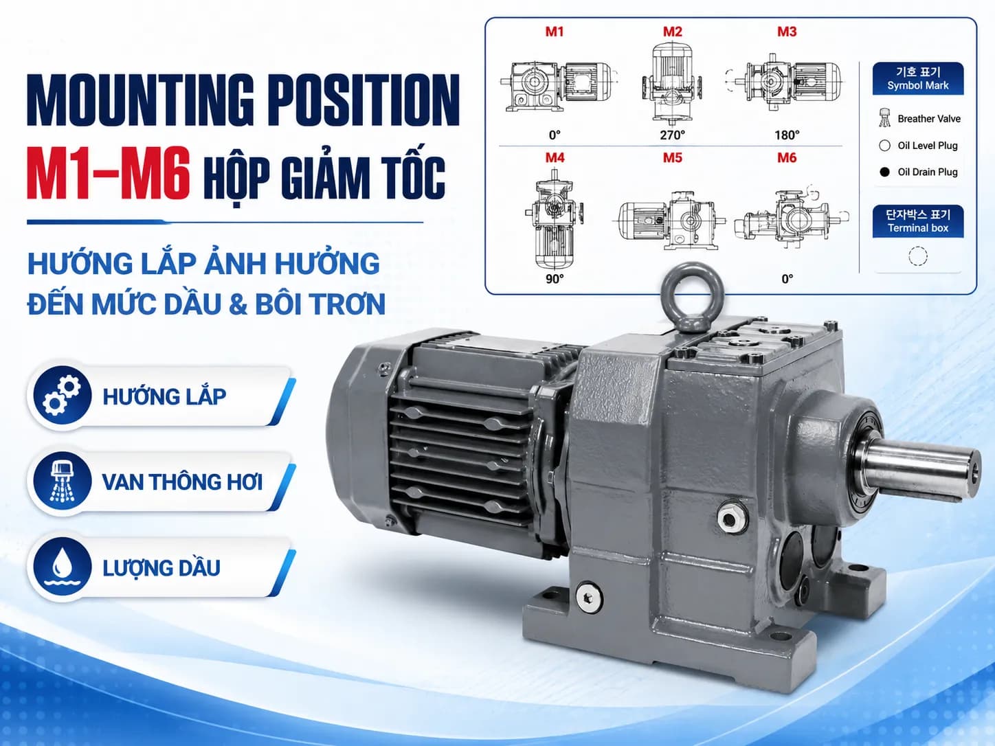 Mounting Position M1–M6 của motor giảm tốc có ý nghĩa gì?