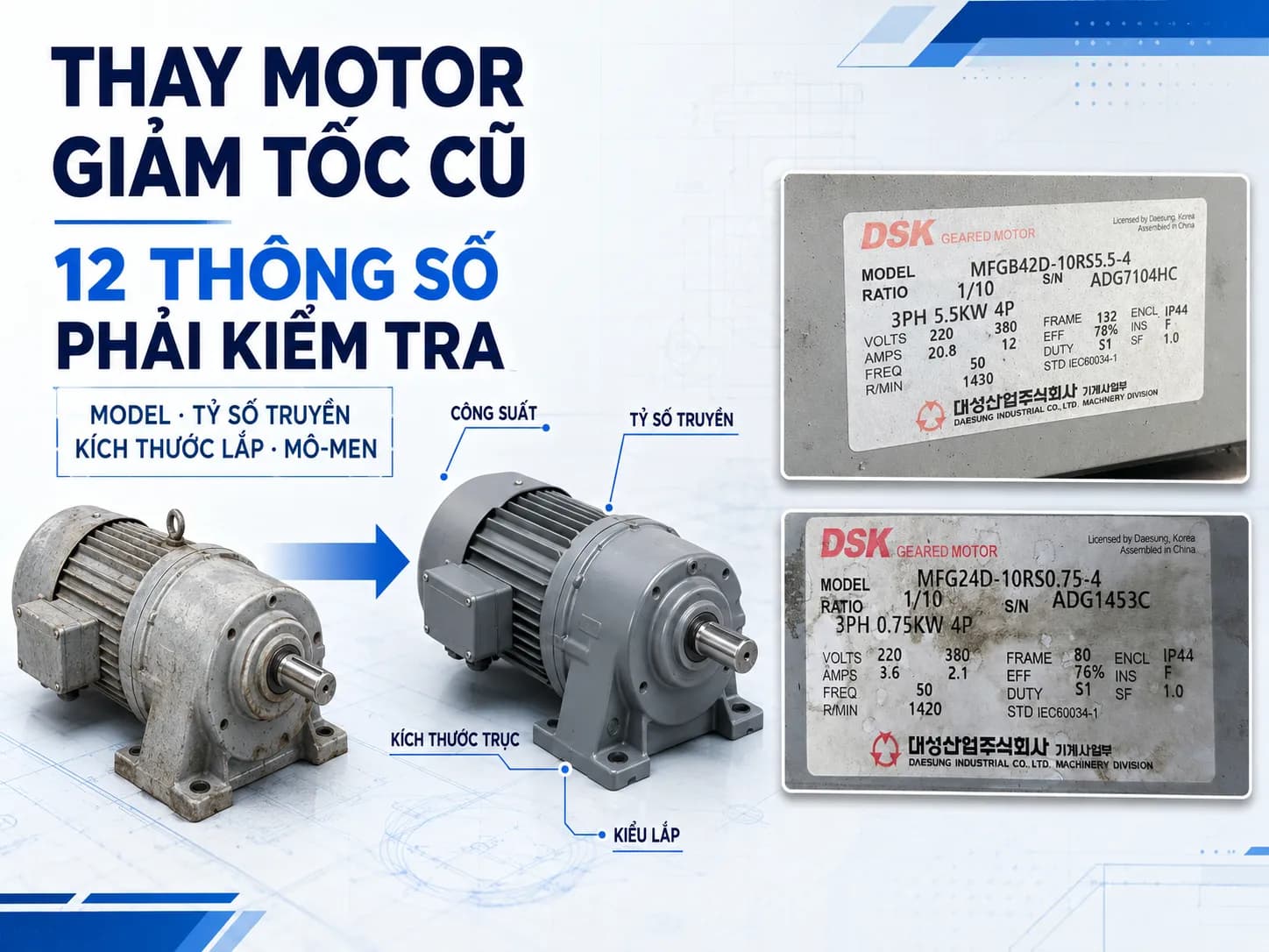 Cách thay motor giảm tốc cũ và kiểm tra nameplate, tỷ số truyền, mô-men, kích thước lắp