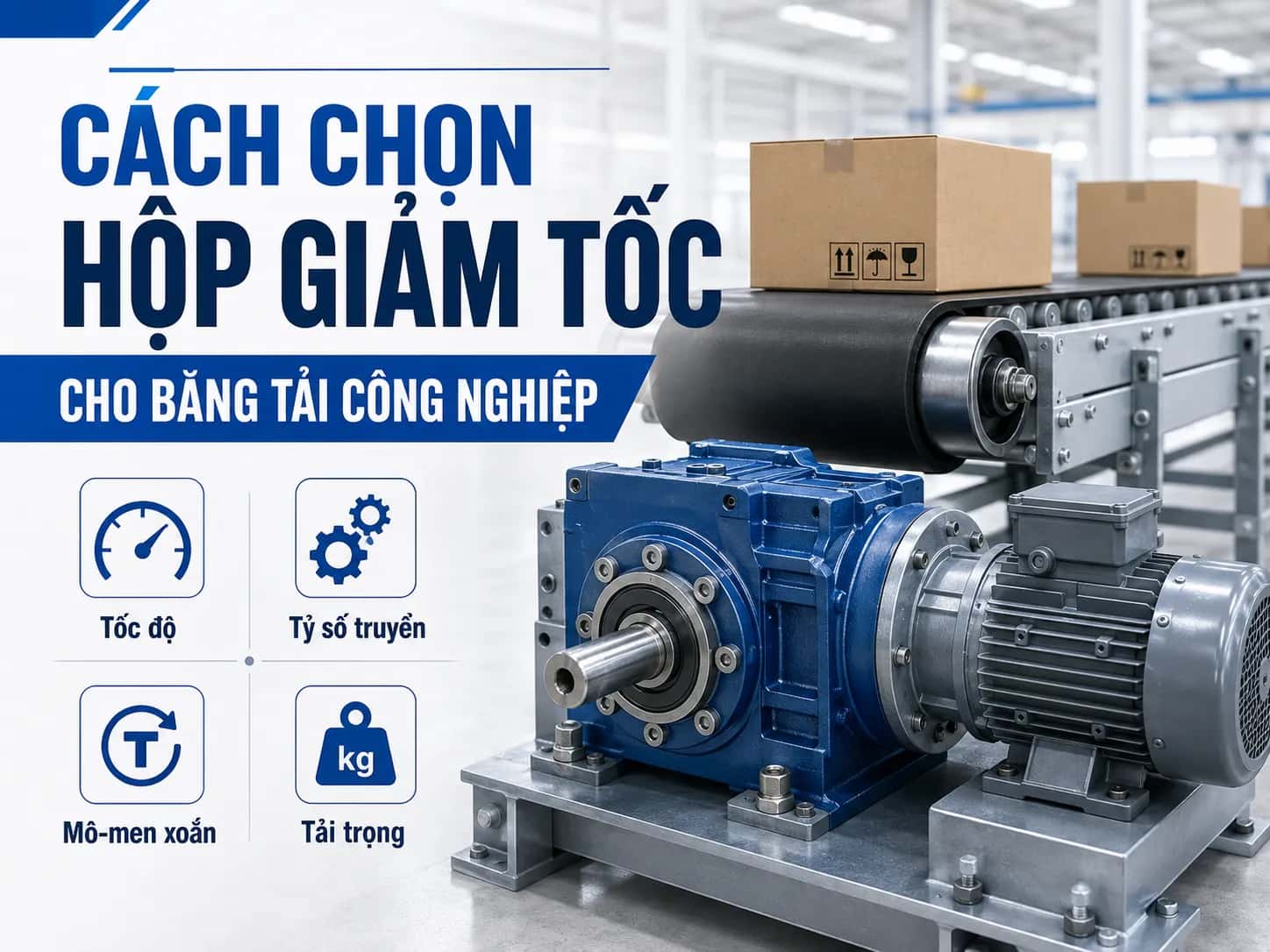 Cách chọn hộp giảm tốc cho băng tải công nghiệp theo tỷ số truyền và mô-men xoắn.