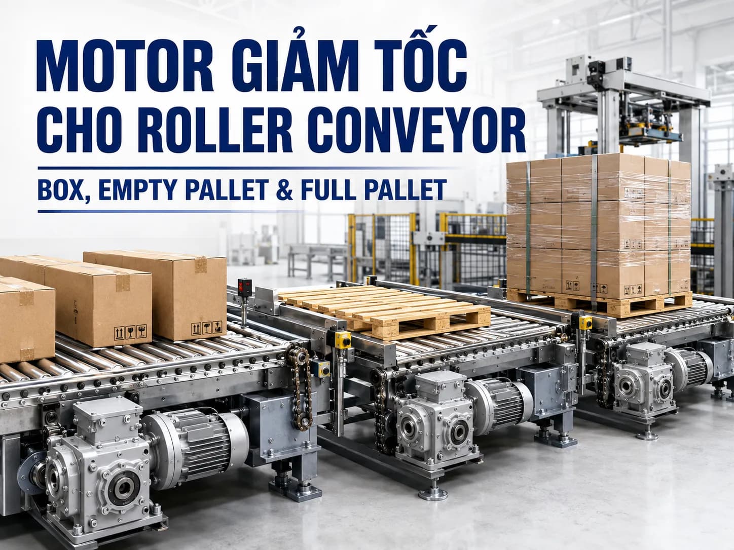 Motor giảm tốc cho Roller Conveyor Palletizer gồm Box, Empty Pallet và Full Pallet