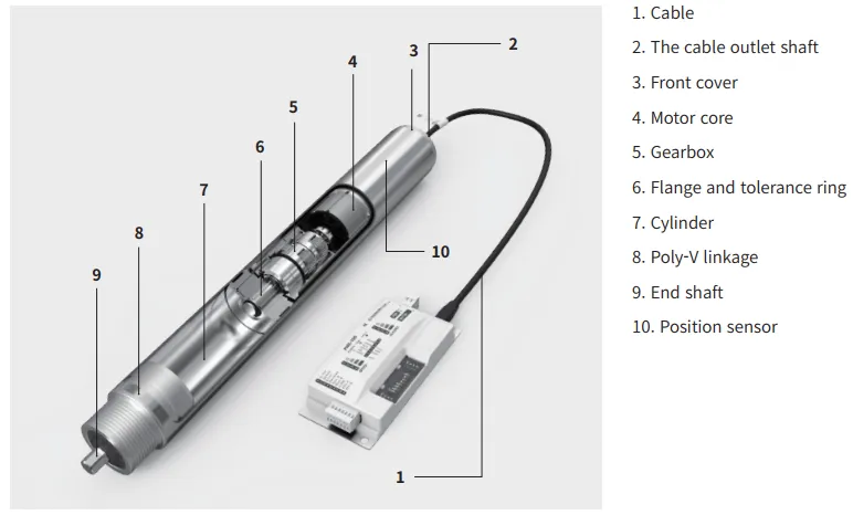 Cấu tạo DSK Power Roller